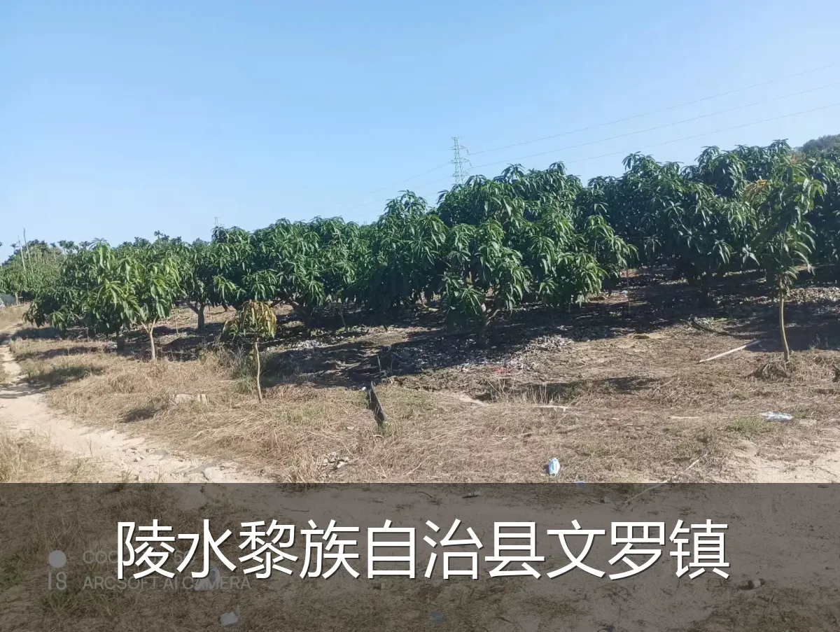 陵水黎族自治县文罗镇